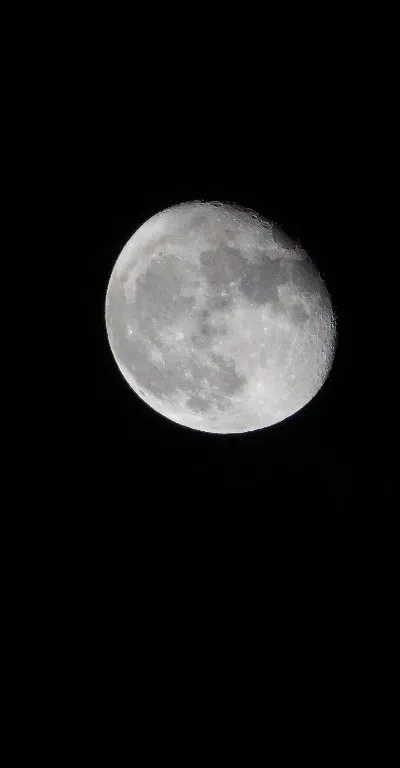 A gibbous super moon