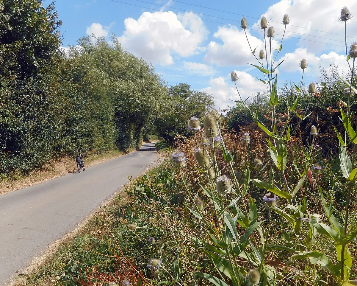 Back Lane, Bretforton