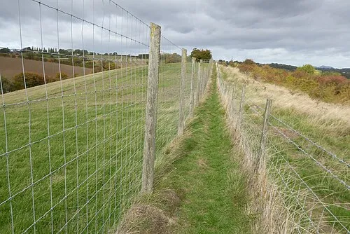 Sandhurst Reserve