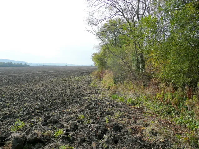 Arable corner The view south alongside Wormington Brake.