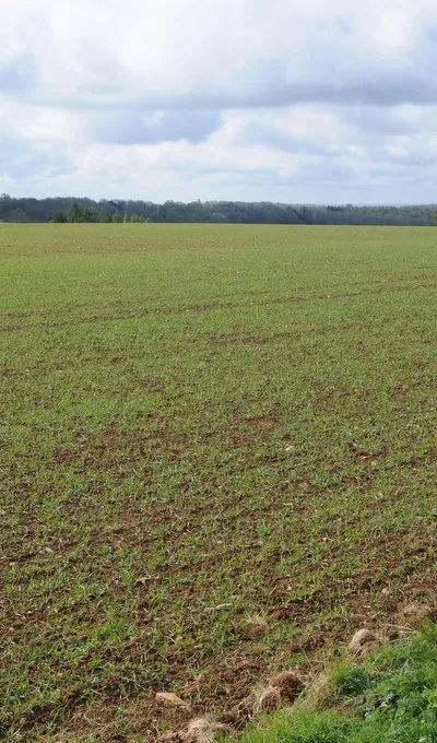 Arable field at Newington Bagpath