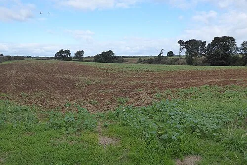 Field beside Rattlecombe Road