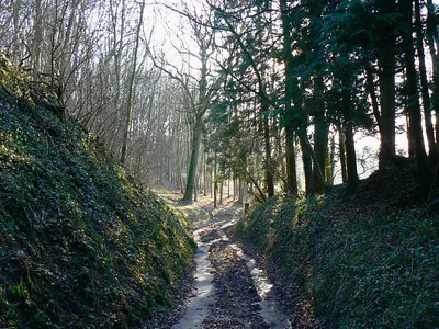 A view down the White Horse Trail, near Highway The trail uses the bridleway that already existed here. It follows the contours of the hill rather than going straight up it as it is rather a steep slope otherwise.