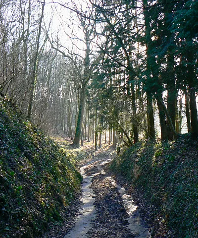 A view down the White Horse Trail, near Highway The trail uses the bridleway that already existed here. It follows the contours of the hill rather than going straight up it as it is rather a steep slope otherwise.
