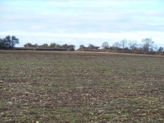 Across the field