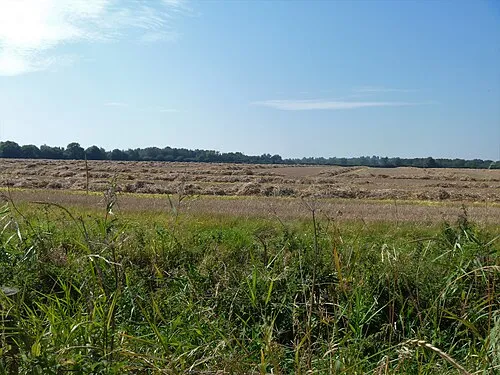 A circular walk around Cricklade [61]