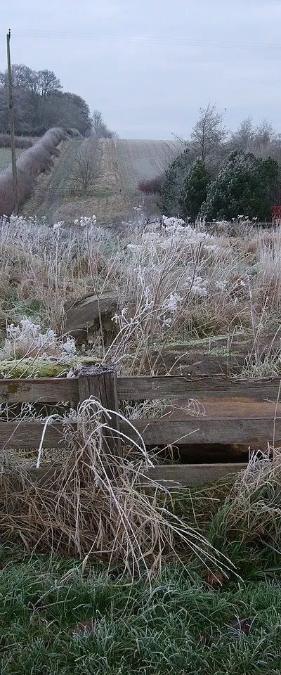Cleared sarsen stones, Temple Farm