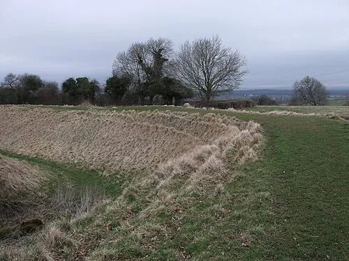 On the ramparts of Ringsbury Camp, near Dogridge, Purton