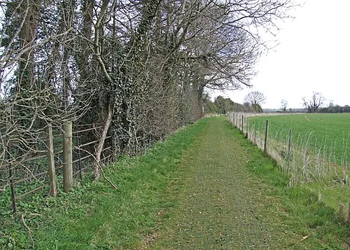 All weather path Providing access between the King's Men stones and the Whispering Knights dolmen.