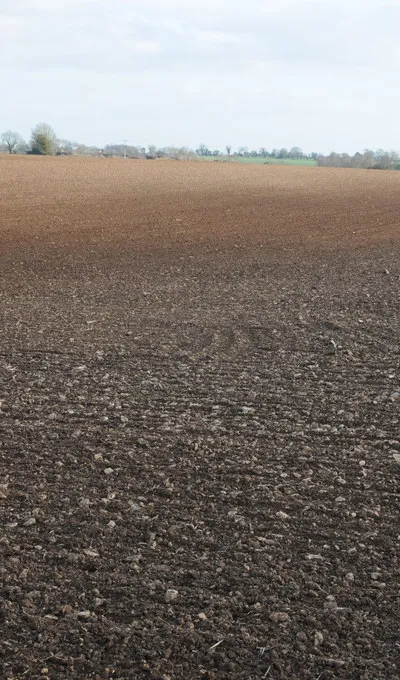 Arable land near Rodmarton