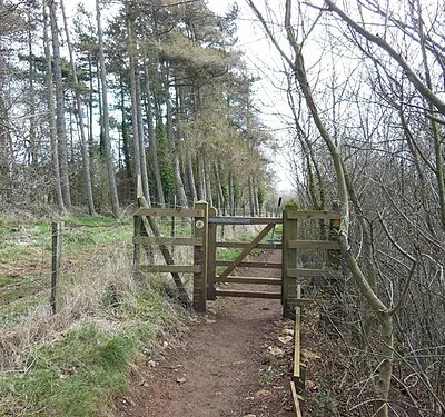 The Cotswold Way at Barrow Piece Plantation