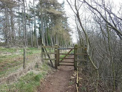 The Cotswold Way at Barrow Piece Plantation