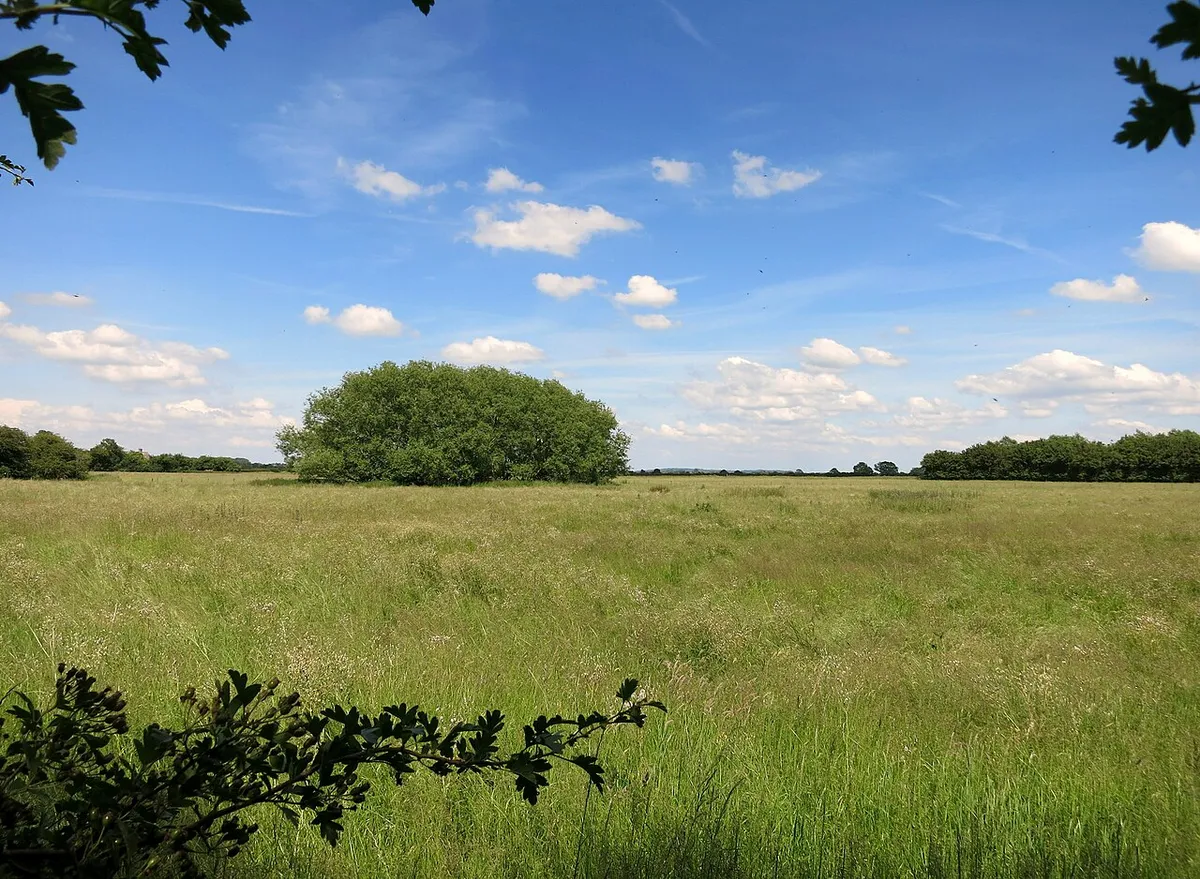 A Clump at Cote