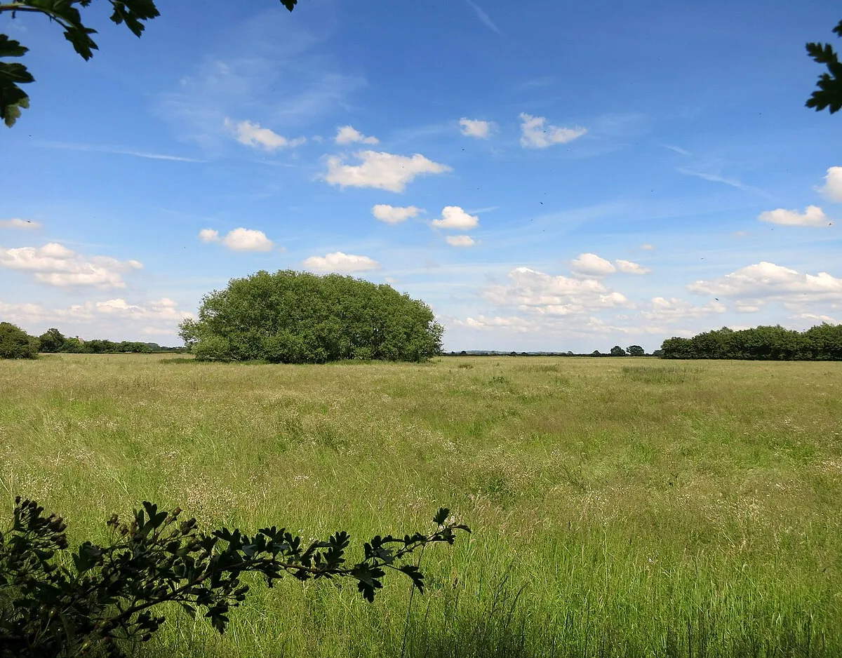 A Clump at Cote