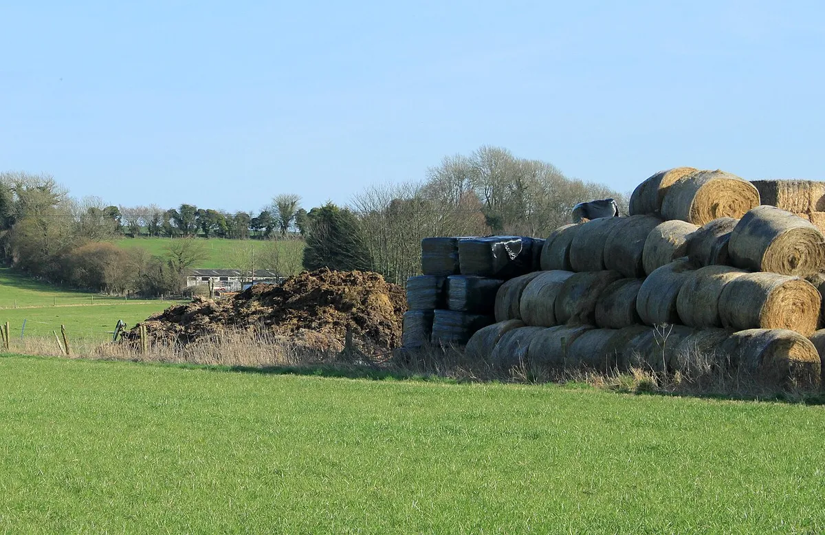 2012 : Baled straw and a muck heap
