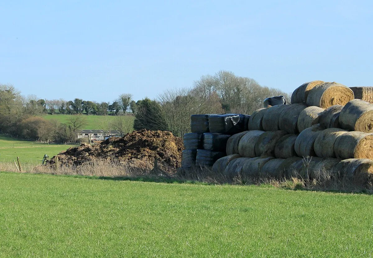 2012 : Baled straw and a muck heap