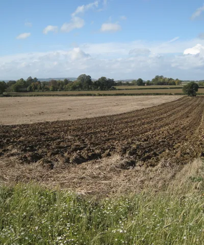 Autumn ploughing has begun near Chelmscote