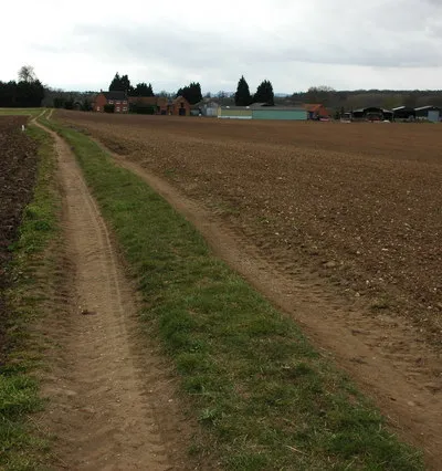 Arable land at Pensham A footpath follows this headland track across arable land to the farm in the background.