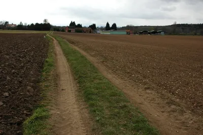 Arable land at Pensham A footpath follows this headland track across arable land to the farm in the background.