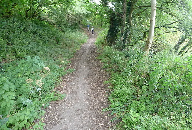 Bridleway from Calcot to Coln Rogers
