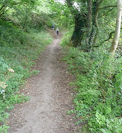 Bridleway from Calcot to Coln Rogers