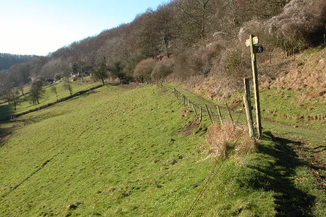 A junction of footpaths in the Slad valley.