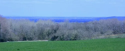 Pitter's Wood