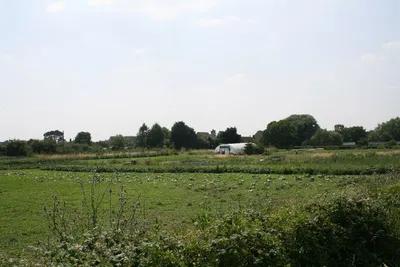 Allotments on the edge of Cote