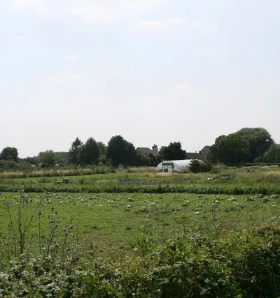 Allotments on the edge of Cote