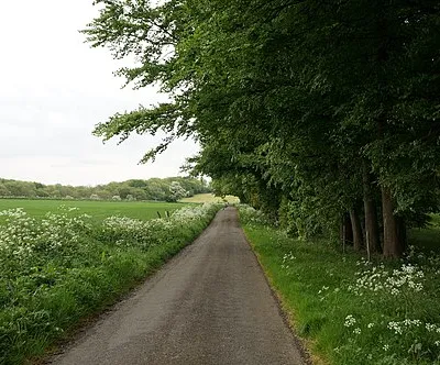 Minor road leading to Hazleton