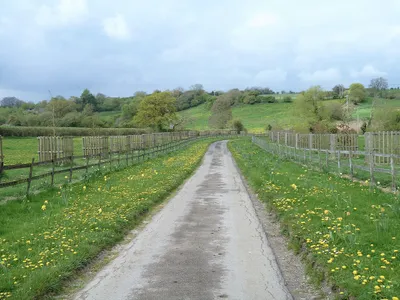 Dandelion drive