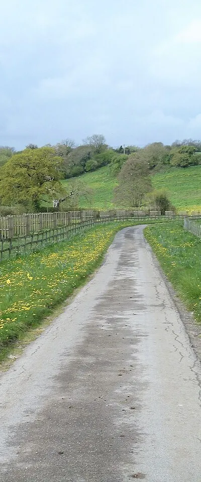 Dandelion drive
