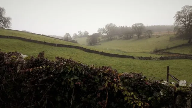 A Cotswold bottom, Calmsden
