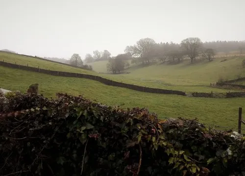 Calmsden