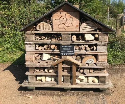 Bugingham Palace - an insect hotel at Crickley Hill Country Park in the Cotswolds, overlooking the City of Gloucester.
