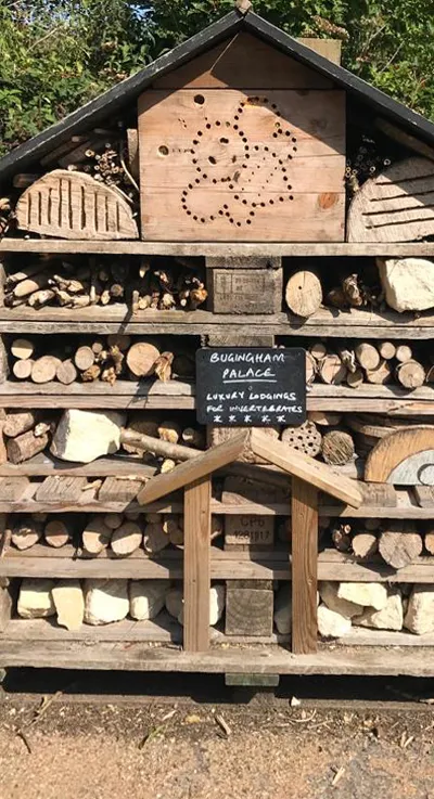 Bugingham Palace - an insect hotel at Crickley Hill Country Park in the Cotswolds, overlooking the City of Gloucester.