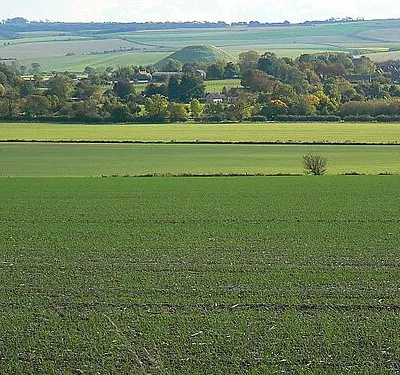 Farmland south of Windmill Hill, Winterbourne Monkton The cultivated arable land in the lower half of the image is in this square. It is turning green quite early with next year's crop of what could be oilseed rape, cereal or, perhaps, linseed. Beyond the farmland lies the small village of Avebury Trusloe. The conical shape of the man-made Silbury Hill is unmistakable.