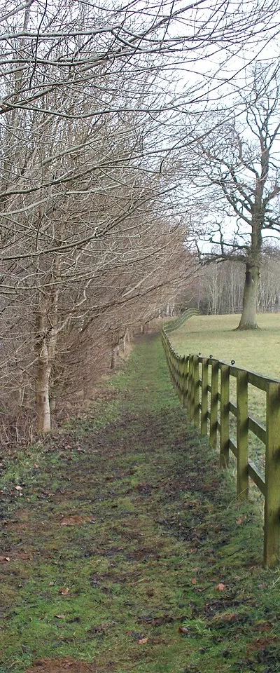 Alongside the paddock The footpath runs alongside one of the horse paddocks which are part of Jackdaws Castle.