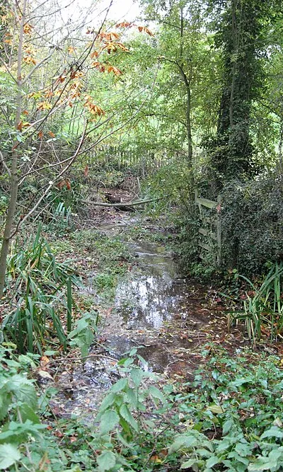 An eccentric gate beside the Liddington Brook