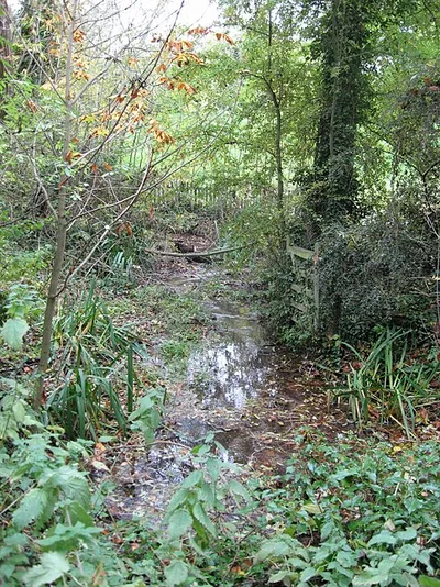 An eccentric gate beside the Liddington Brook