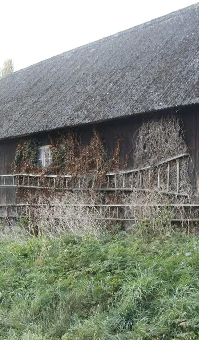 Barn on Mill Lane