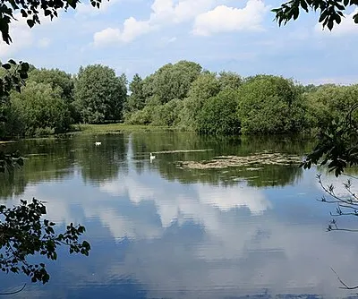  Richardson and Amey Nature Reserve