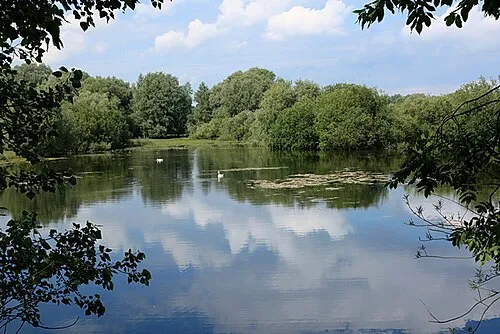 Richardson and Amey Nature Reserve