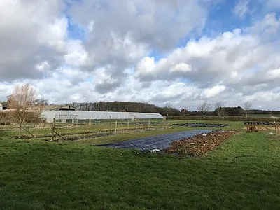 Market garden