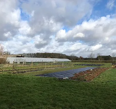 Market garden