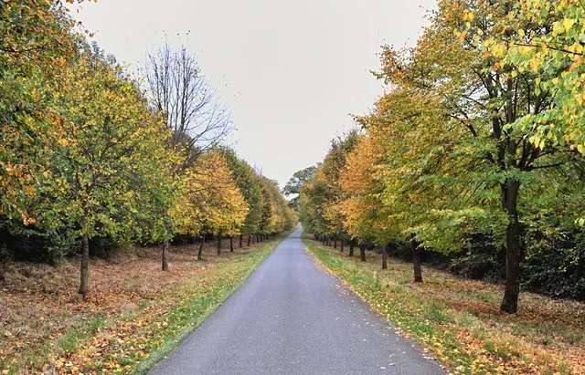 Approaching Forthampton village An Autumn approach to Forthampton village via a rather leafy lane