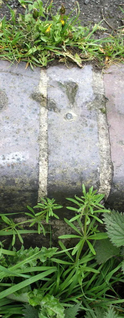 Benchmark on pavement edge wall, Ginge Road