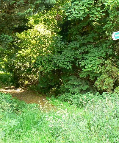 Bridleway near Chilton Foliat, Swindon This is only a short stretch of bridleway. It runs from here for a couple of hundred metres south until it connects with a byway called Gypsy Lane.