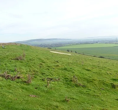 An unusual view of a white horse