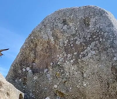 A summer visitor to West Kennett long barrow